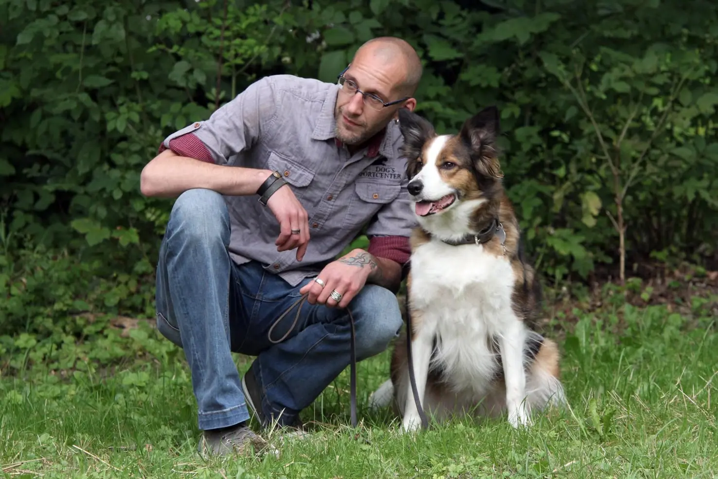 Hundefaktencheck,KaiDahlhaus,Hundefreund.Hundeschule Iserlohn